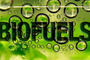 Biofuels Market