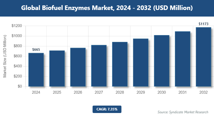 Global Biofuel Enzymes Market Size