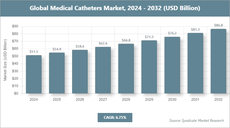 Global Medical Catheters Market Size