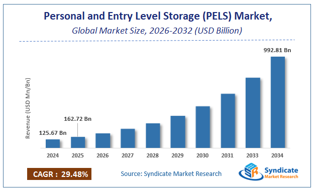 Global Personal and Entry Level Storage (PELS) Market Size