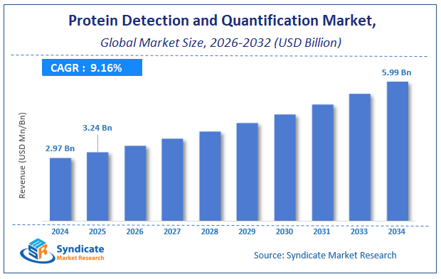 Global Protein Detection and Quantification Market Size