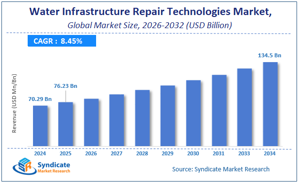 Global Water Infrastructure Repair Technologies Market Size